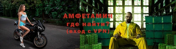 индика Бородино