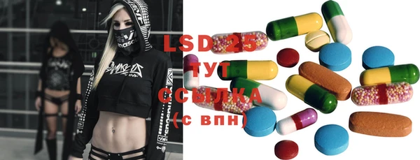 индика Бородино