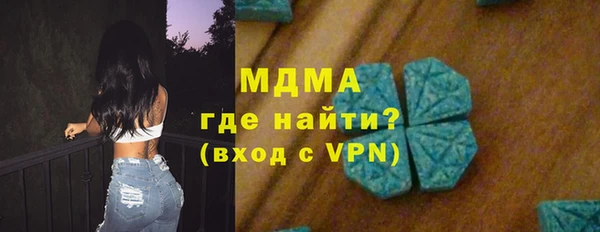 индика Бородино
