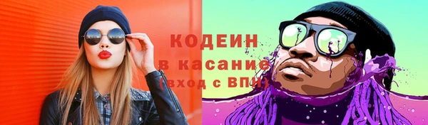 индика Бородино
