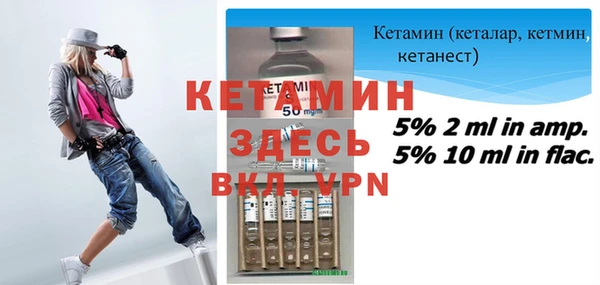 индика Бородино