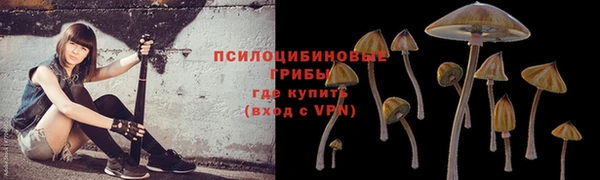 spice Бугульма