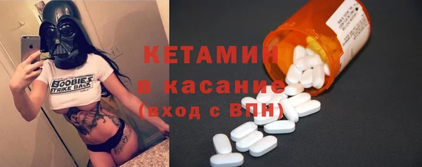 индика Бородино