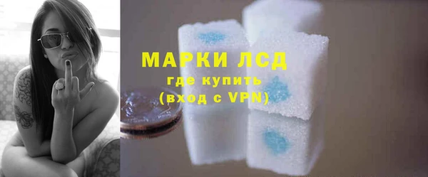 индика Бородино