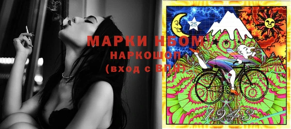 индика Бородино