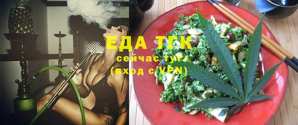 индика Бородино