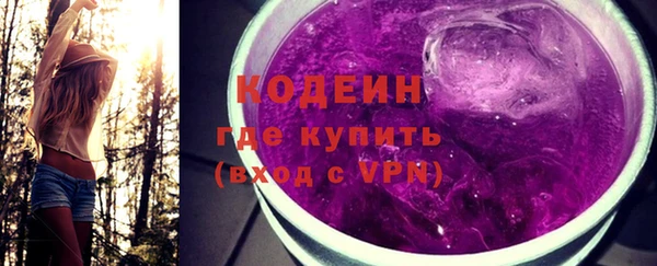 индика Бородино