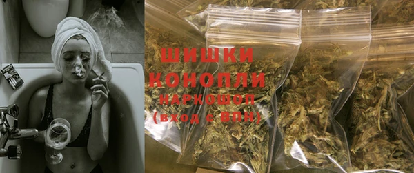 индика Бородино