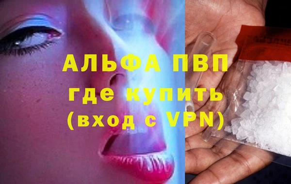 индика Бородино
