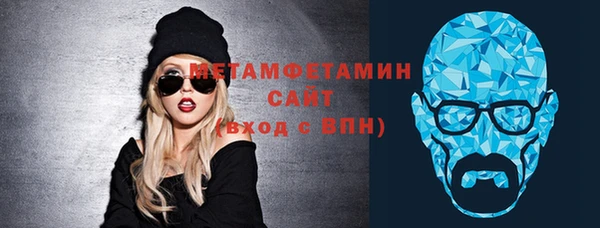 индика Бородино