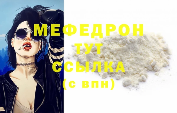 индика Бородино