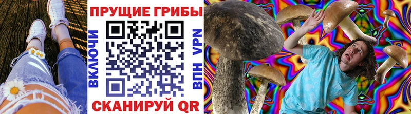 darknet телеграм  Тбилисская  Псилоцибиновые грибы прущие грибы 